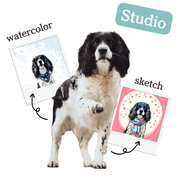 スプリンガーのイラスト