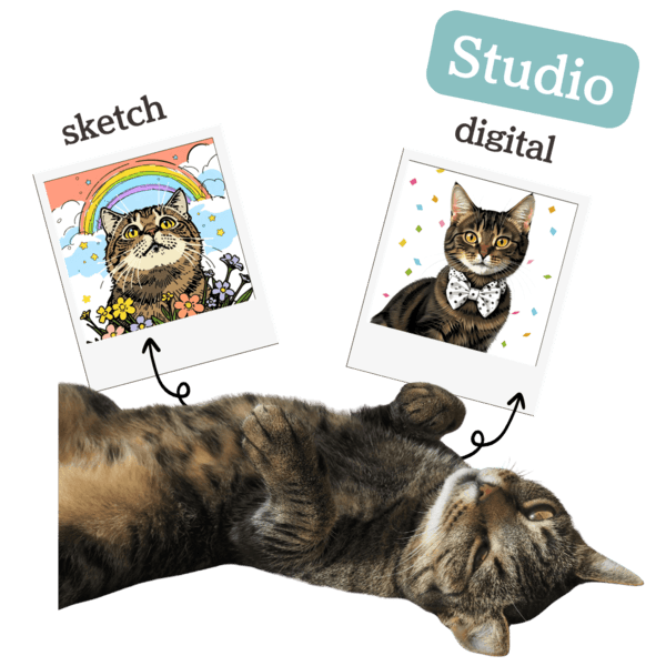 キジトラのイラスト