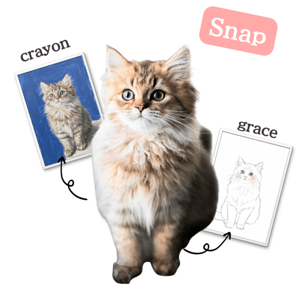 サイベリアンのイラスト