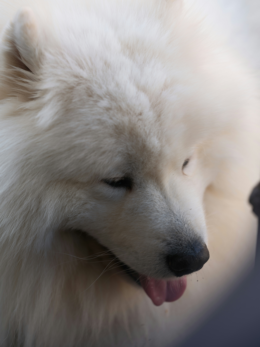 使用不可の写真例